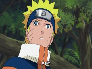 Naruto Shippuden - Episodio 185 - Distrito Animal!