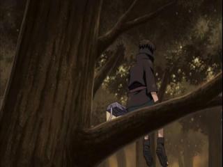 Naruto Shippuden - Episodio 317 - Shino vs Torune!!