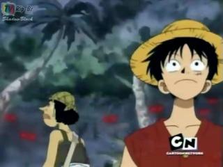 One Piece Dublado - Episodio 17 - Um Pirata na Mata