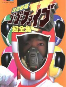 Kyukyu Sentai GoGoV