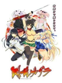 Senran Kagura