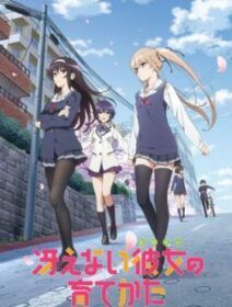 Saenai Heroine No Sodatekata