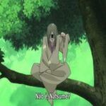 Natsume Yuujinchou San