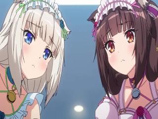 Nekopara - Episodio 1 - episódio 1