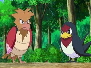 Pokémon (2019) - Episódio 23 - Pânico Massivo! Parque Sakuragi