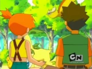 Pokémon - Episodio 264 - Você é um Astro, Larvitar!