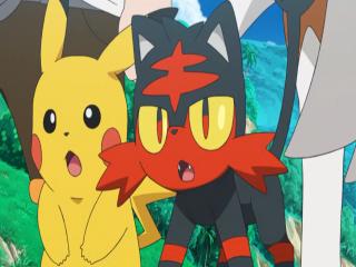 Pokémon Sun & Moon - Episodio 63 - Queime Com Paixão, Litten! Embate Com Incineroar!!