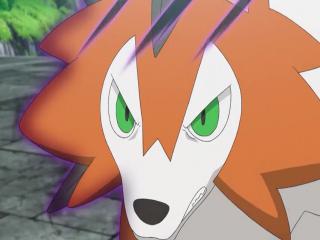 Pokémon Sun & Moon - Episodio 77 - O Grande Desafio de Kuchinashi! O Despertar de Lycanroc!!