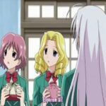 Rosario + Vampire Capu2