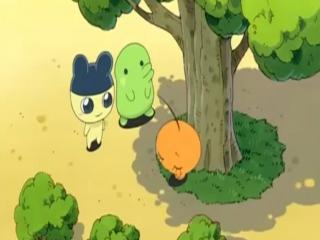 Saa Ikou! Tamagotchi - Episodio 3 - Episódio 3