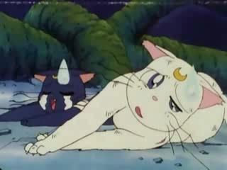 Sailor Moon R - Episodio 13 - O segredo da árvore