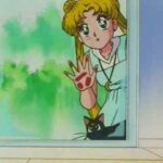 Sailor Moon S Dublado