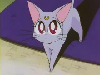 Sailor Moon Super S - Episodio 9 - Os ciúmes de Serena