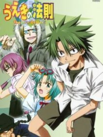 The Law Of Ueki