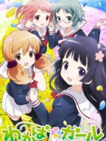 Wakaba Girl