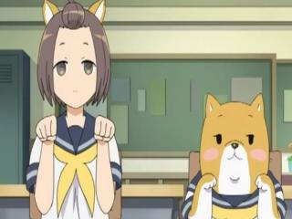 Shiba Inuko-san - Episodio 12 - Episódio 12