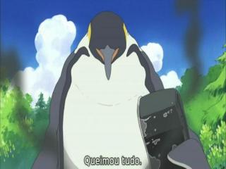 Shirokuma Cafe - Episodio 17 - Vamos acampar!