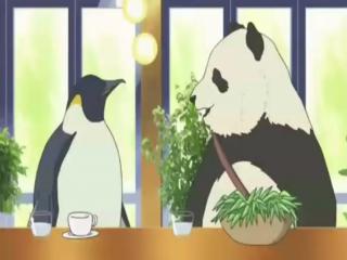 Shirokuma Cafe - Episodio 2 - Cafe de Todos