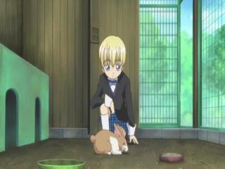 Shugo Chara! Party! - Episodio 4 - episódio 4