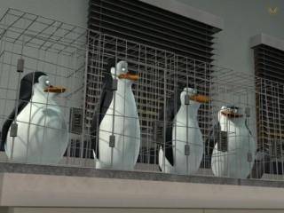 The Penguins of Madagascar - Episódio 19 - Agulhada