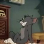 Tom E Jerry Dublado