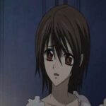 Vampire Knight