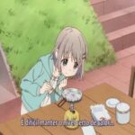 Yama No Susume