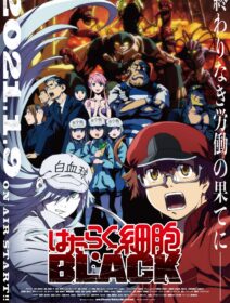 Hataraku Saibou Black