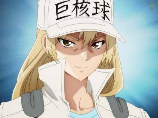 Hataraku Saibou - Episódio 14 - episódio 14