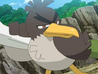 Pokémon (2019) - Episódio 51 - O Grande Desafio de Farfetch'd!