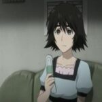 Steins Gate Dublado - Episódio 25