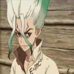 Dr. Stone Dublado