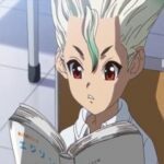 Dr. Stone Dublado